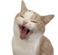 まろん