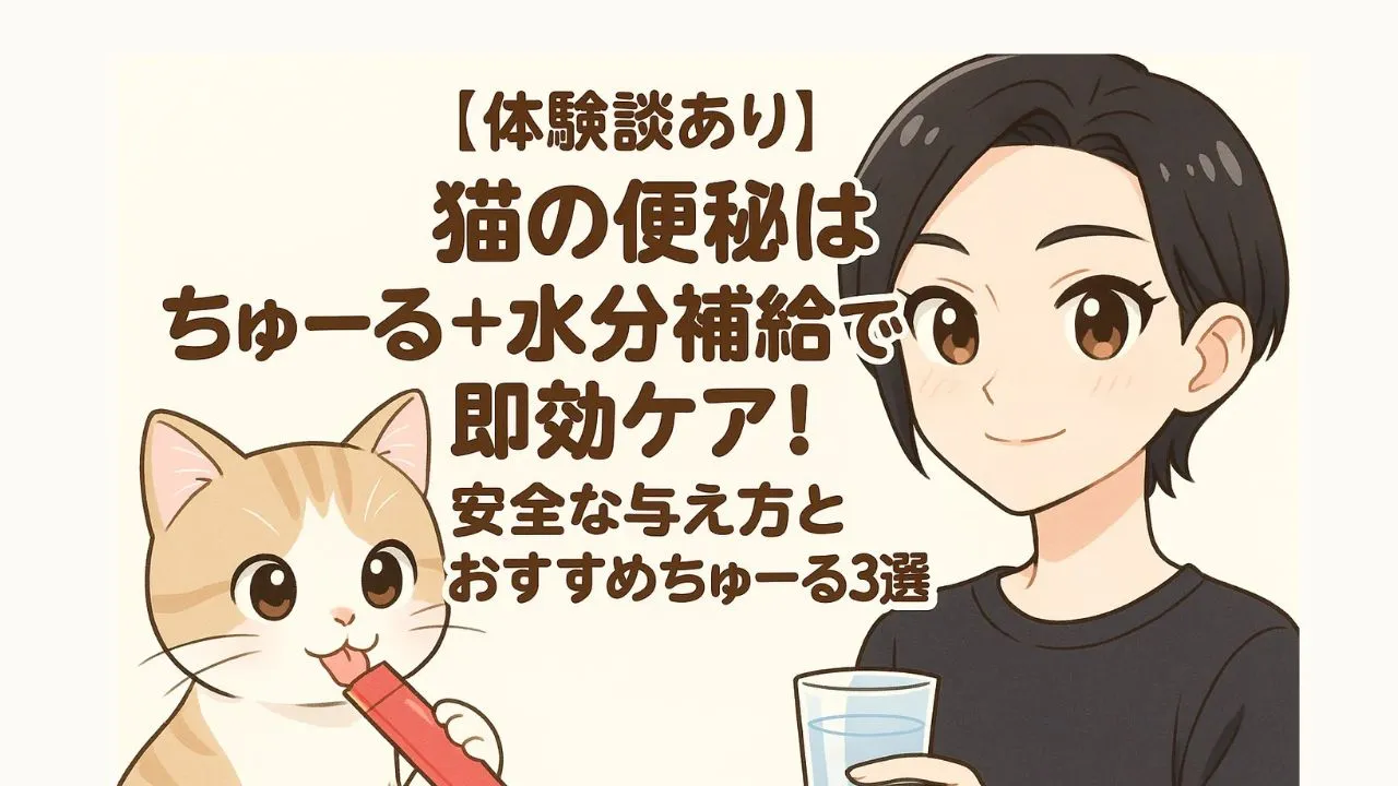 【体験談あり】猫の便秘はちゅーる+水分補給で即効ケア!安全な与え方とおすすめちゅーる3選