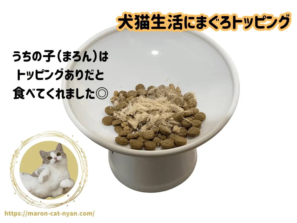 犬猫生活キャットフードにまぐろトッピング