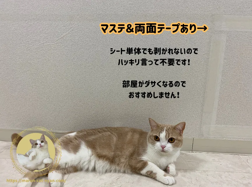 猫の爪とぎ防止シート（マスキングテープ＆両面テープあり）